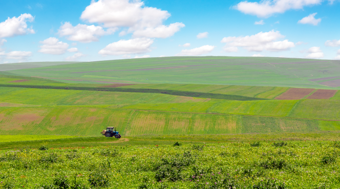 Óleos Agrícolas