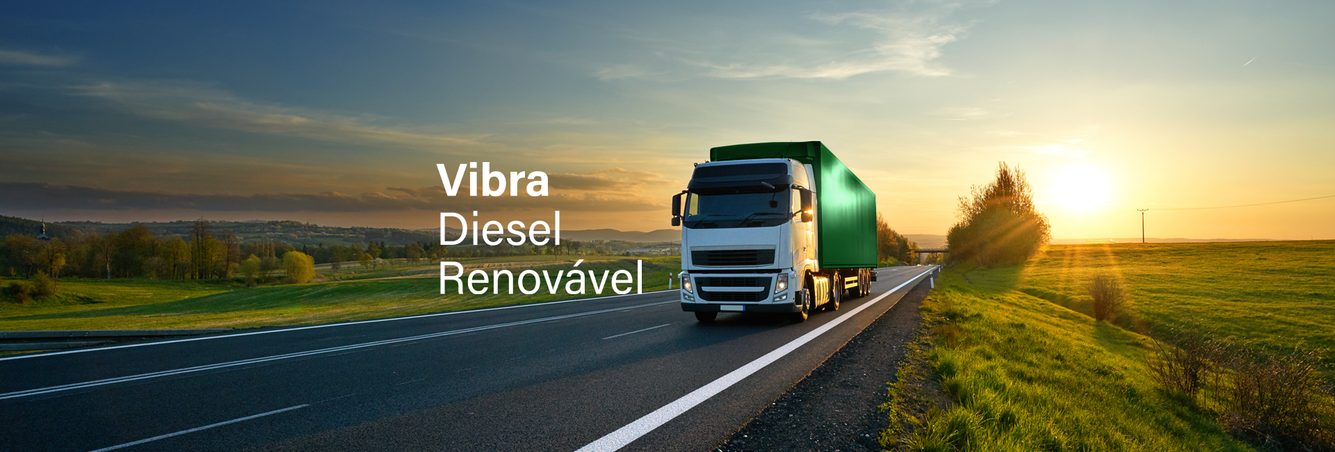 Vibra Diesel Renovável