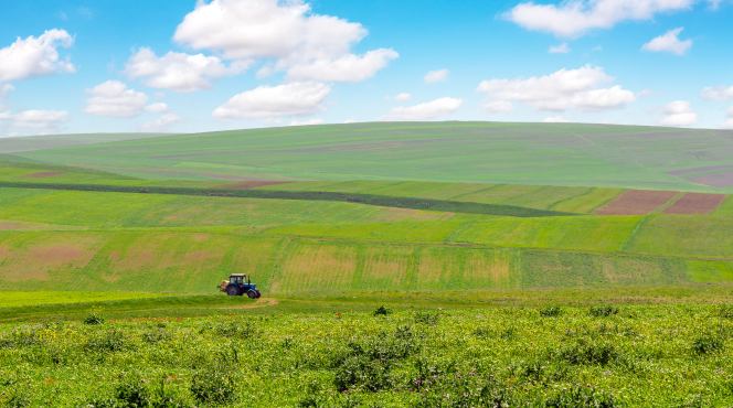 Óleos Agrícolas Óleos Agrícolas