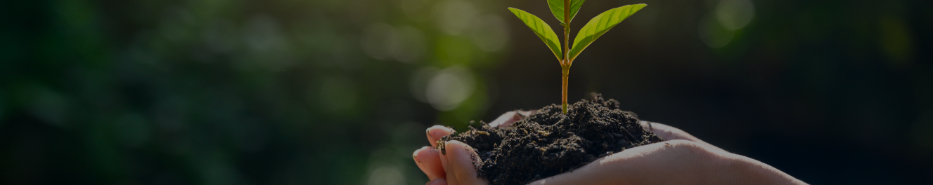 Certificações para sustentabilidade Certificações para sustentabilidade